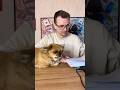 Собачку Обманул Дядя Репетитор #короткиевидео