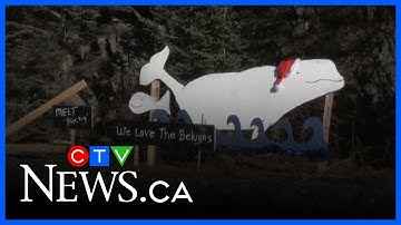 N.S. whale sanctuary gets lease of land