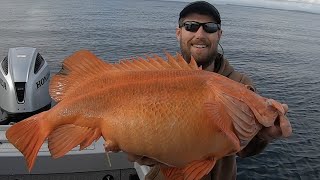Giant Yelloweye Rockfish!  Fishing in Juneau, Alaska! JUNE 2020