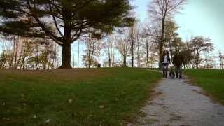 Town Of Milton - The Art Of Better Living