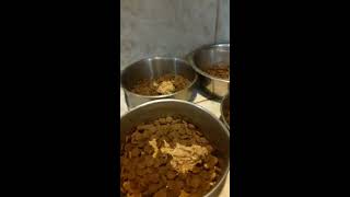 benefits of soaking dry dog food