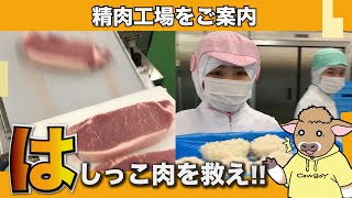 肉の工場見学！新商品はできるのか？神奈川県の相模原工場ってすごい！