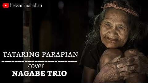 lirik dan terjemahan lagu batak TATARING PARAPIAN - cover nagabe trio