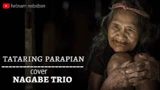 lirik dan terjemahan lagu batak TATARING PARAPIAN - cover nagabe trio