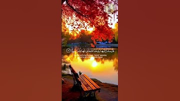 ماتيسر من #سورة_مريم #سعود_الشريم #تلاوة_خاشعة #القرآن_الكريم #اكسبلور #الحرم_المكي