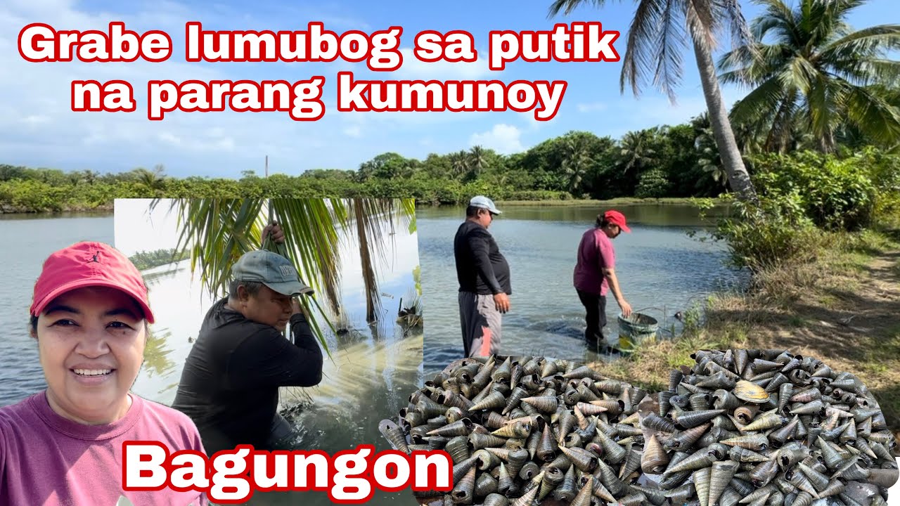 Pangangapa ng bagungon | grabe saglit lang dami agad nakuha