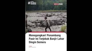 Banjir Lahar Hujan Gunung Semeru Jebak Penambang Pasir #beritasatu
