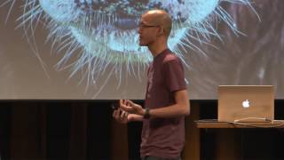devopsdays Amsterdam 2017 - Jason Yee   Data driven Postmortems