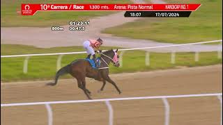 Vidéo de la course PMU LIBIA H.