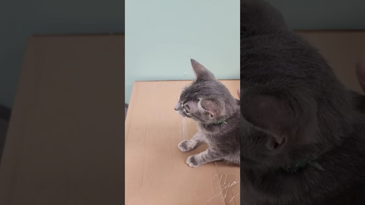 Night Night from the Kiddos! January 4, 2026