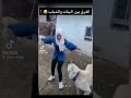 فرق بين بنات اما نحن 