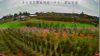 Famous TinyHawk 2 Race RX loss Profile