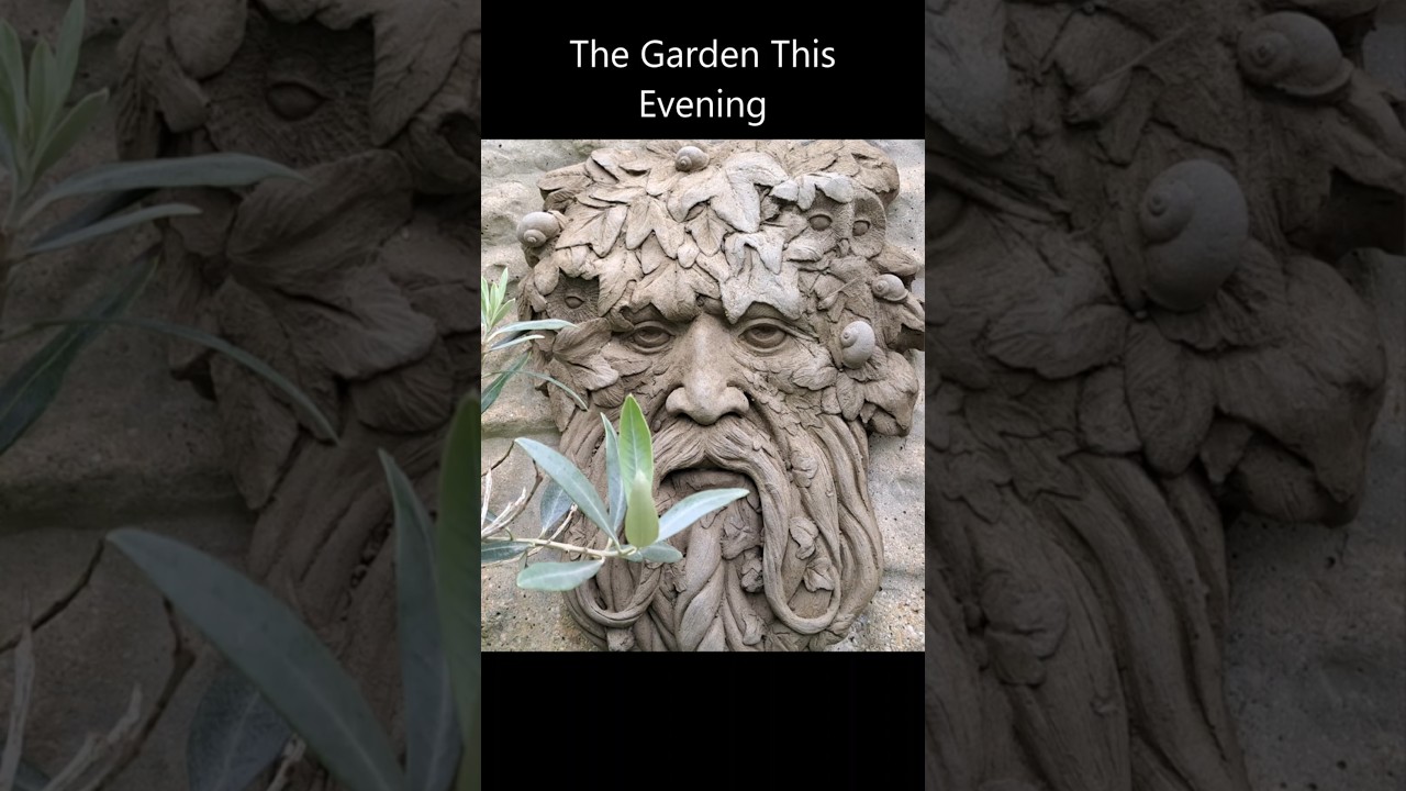 THE GARDEN THIS EVENING