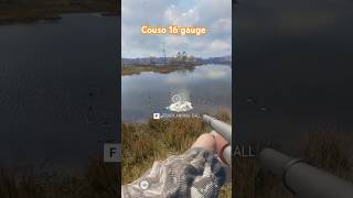 Using the Couso 16 gauge on Ducks || Salzwiesen || the Hunter Call of the Wild