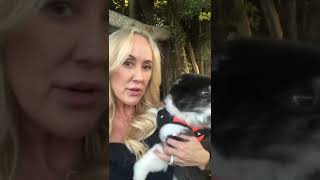 brandi love cap 2