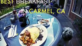 Best Breakfast in Carmel, CA @ From Scratch ~ Maggie The Dog Meets McKenna ✔