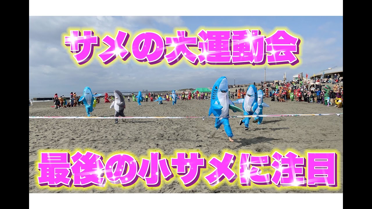 第２回ティラノサウルスレース江ノ島ビーチ　サメレースがツボw w w