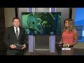 First Alert Weather: Mosquito season returns to the Ozarks