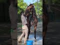 Timberlake’s GRWM for the #WAYI Haskell Stakes ☀️