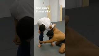 How to Ankle Pick from Underhook Clamp Down #nogi #bjj #wrestling