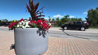 Flower Pot, Traffic And Train