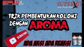 Download lagu REAKSI BURUNG WALET SAAT PULANG KANDANG