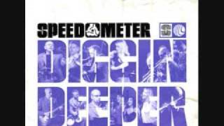 Speedometer-Monkey Stick