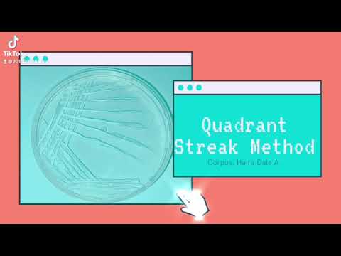 Quadrant Streak Method