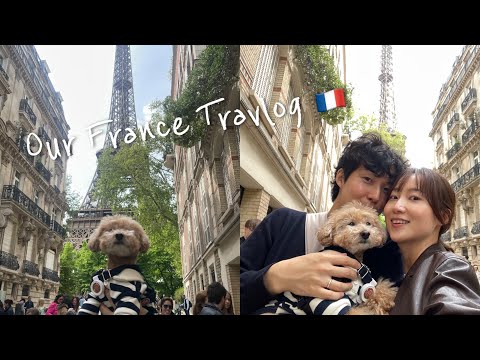 강아지랑 떠나는 유럽여행 1탄 프랑스편