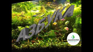 The ABC of #aquariums. All about the #aquarium and its #contents.