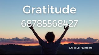 Grabovoi Numbers for Gratitude - 68785568427