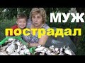 ПОКУСАЛИ ПЧЕЛЫ # ПОЗДНИЙ ЧОБОР, СТЕПНЫЕ ШАМПИНЬОНЫ