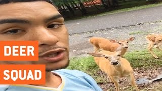 Guy Becomes Friends With Family Of Deer Squad Goals