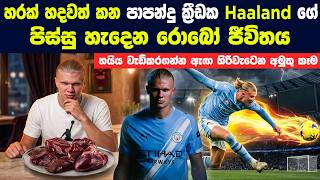 හරක් හදවත් කන පාපන්දු ක්‍රීඩක Haaland ගේ පිස්සු හැදෙන රොබෝ ජීවිතය