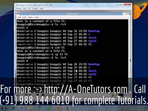 cp Command In