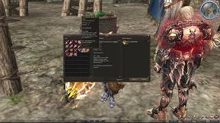 Lineage 2 Unity All items in Game Archive