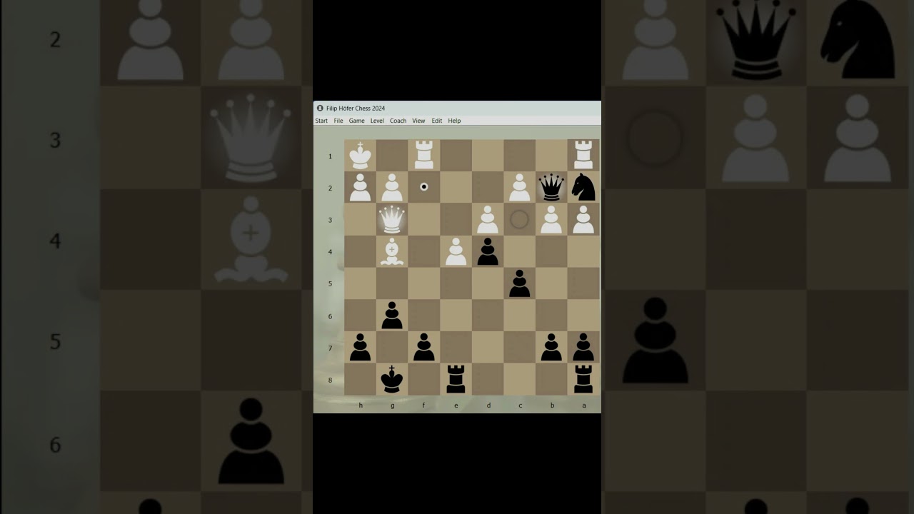 1 162-4/ WE LEARN FROM MISTAKES. CHESS GAME: GRANDMASTER-EXPERT. 