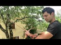 Petit cours sur les fondamentaux tir aux longbow robtrad archery robin gardeur