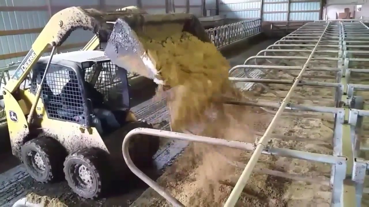 Sand bedding YouTube