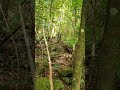Já conhece a Cachoeira localizada na região de Juquitiba em SP????