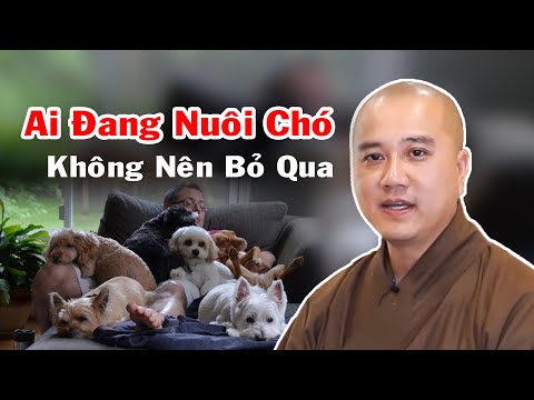 Video: Những điều mà mỗi con chó mẹ nên biết khi chúng tìm thấy cục u trên con chó của chúng