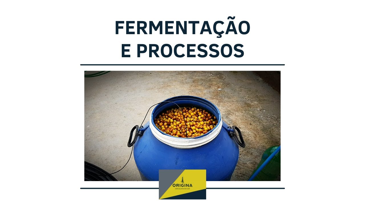 FERMENTAÇÃO DE CAFÉ - SÉRIE ESPECIAL - FERMENTAÇÃO E PROCESSOS