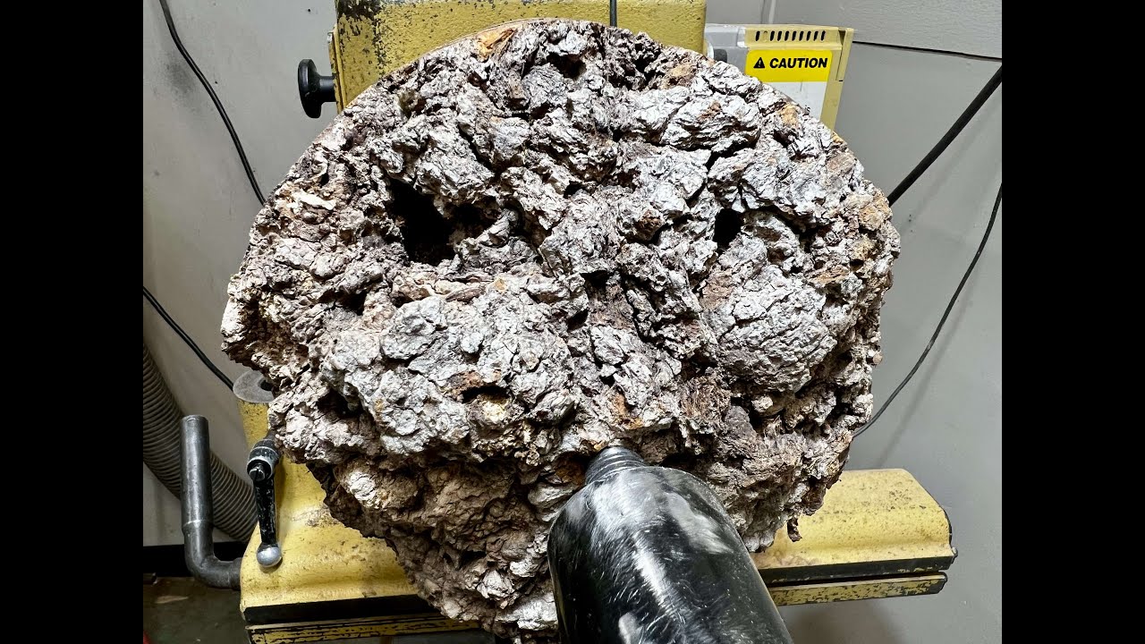 Преображение капа дуба — дикий, несовершенный и прекрасный.