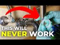 Check ONE Thing BEFORE Installing a New Sink Drain