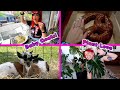 Kicking off summer  nyc trip plant love all the food  may 2024 vlog