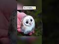 animals you haven't seen as babies 😳