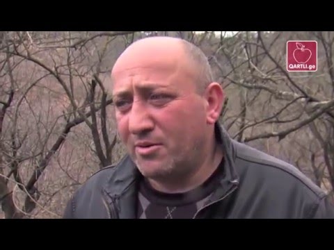 ველების გზა