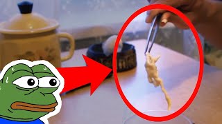 The Russian Homunculus Experiment