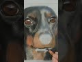 Drawing a dog - Pastels #pastelpencil #pastel