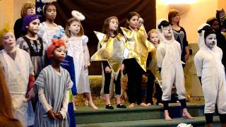 Download Lagu The Landlord's Cat MP3